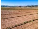 A2+ Swanport Village Road, Swanport SA 5253