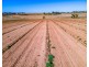 A2+ Swanport Village Road, Swanport SA 5253