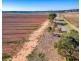 A2+ Swanport Village Road, Swanport SA 5253