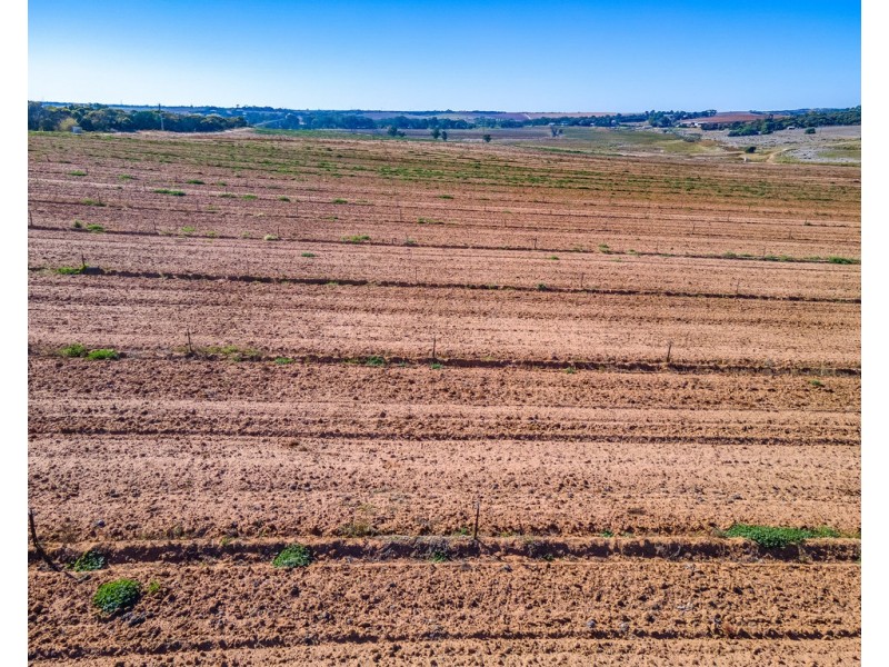 A2+ Swanport Village Road, Swanport SA 5253