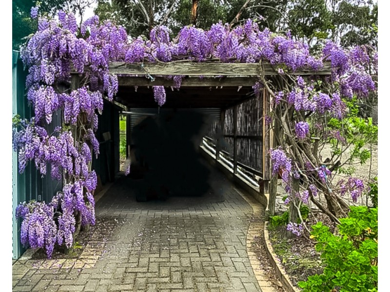 187 WAGGON ROAD, Victor Harbor SA 5211