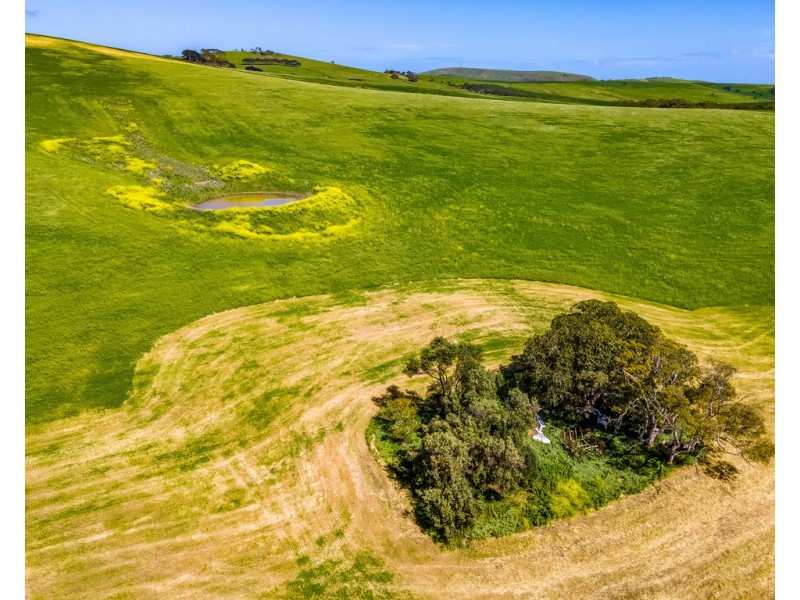 Lot 1056 BETHEL ROAD, Hay Flat SA 5204