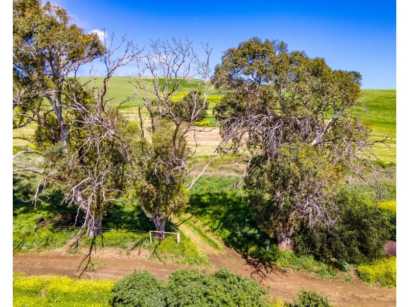Lot 1056 BETHEL ROAD, Hay Flat SA 5204