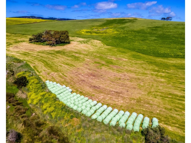 Lot 1056 BETHEL ROAD, Hay Flat SA 5204