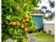 16 Baudin Road, Victor Harbor SA 5211