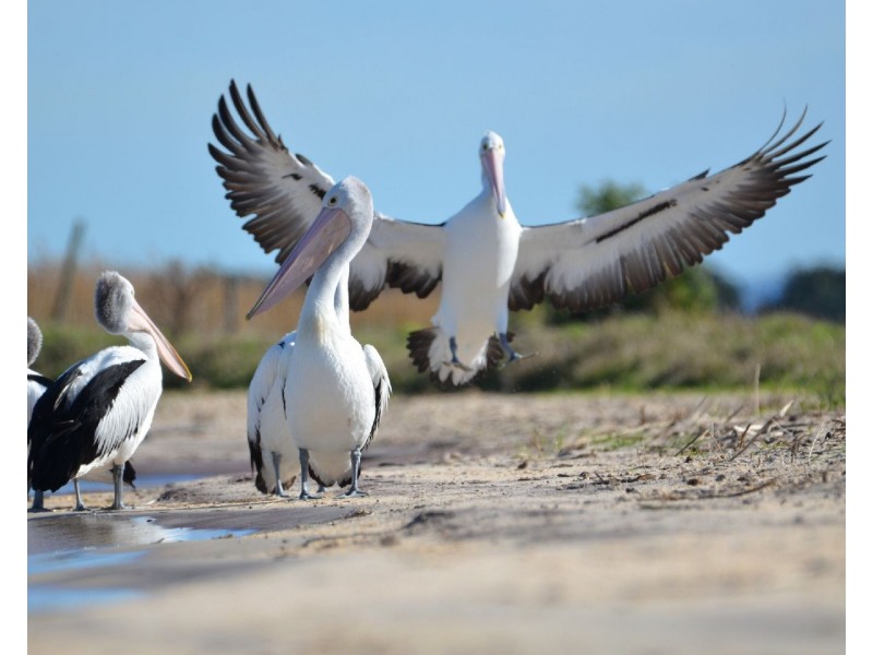 809 Lake Road, Langhorne Creek SA 5255