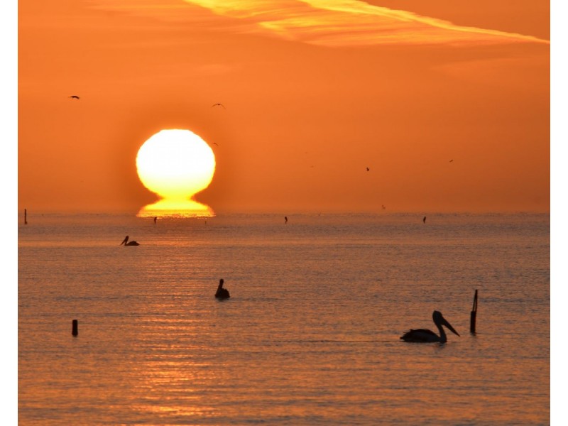 809 Lake Road, Langhorne Creek SA 5255