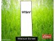 59 WATSON STREET, Milang SA 5256 Floorplan
