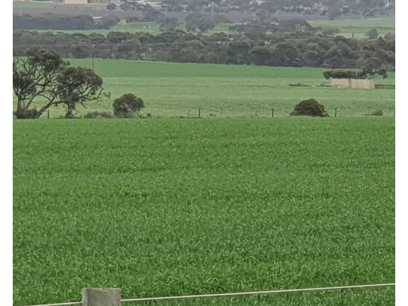 Lot 50 Allardice St, Finniss SA 5255