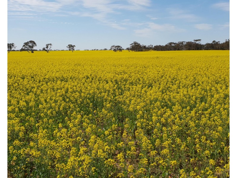 Lot 50 Allardice St, Finniss SA 5255