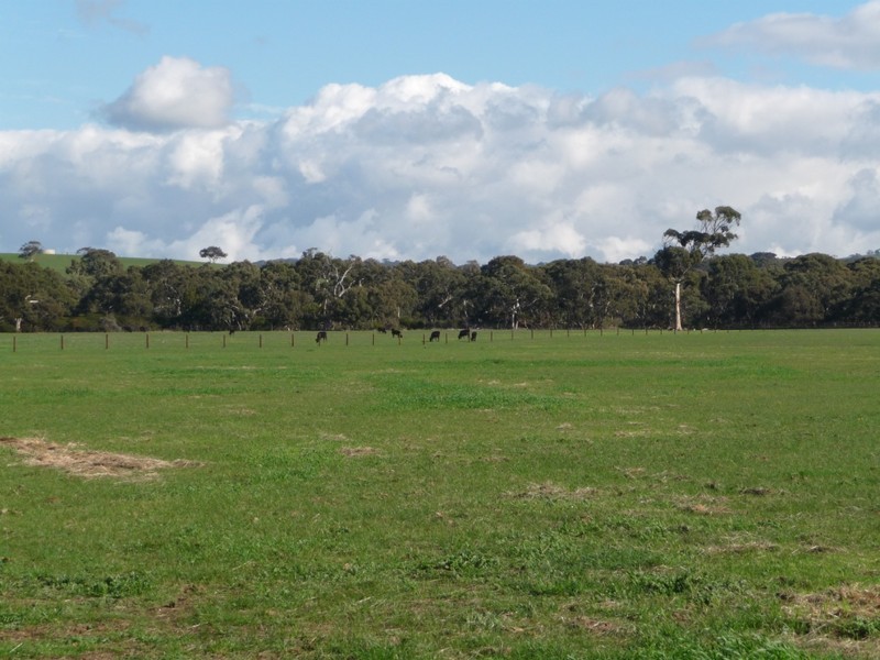 Lot 18 Gould Road, Currency Creek SA 5214