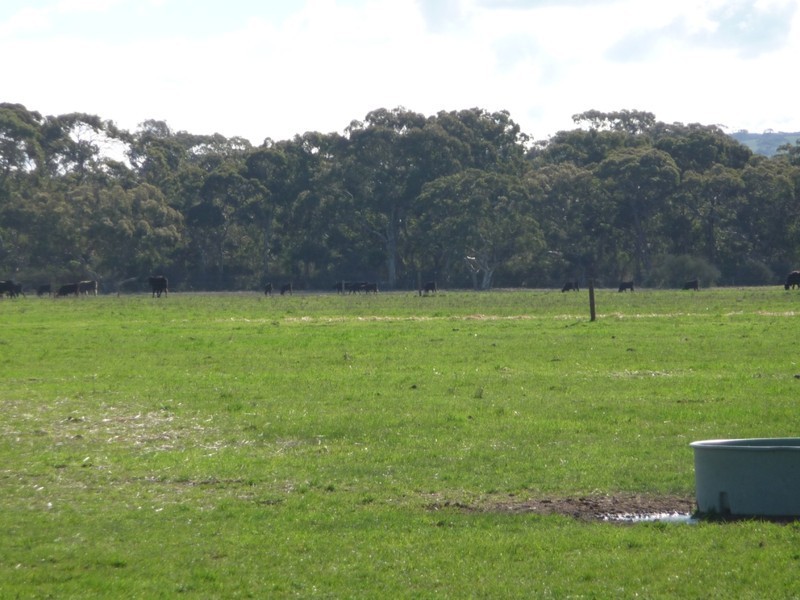 Lot 18 Gould Road, Currency Creek SA 5214