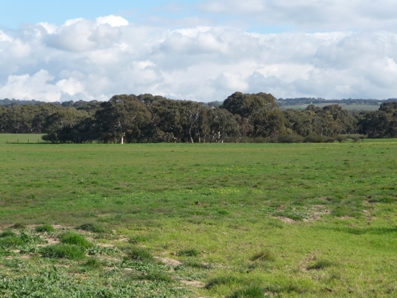 Lot 18 Gould Road, Currency Creek SA 5214