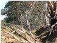 Lot 18 Gould Road, Currency Creek SA 5214