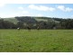 Lot 21 Dairy Flat Road, Yankalilla SA 5203