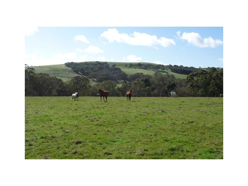 Lot 21 Dairy Flat Road, Yankalilla SA 5203