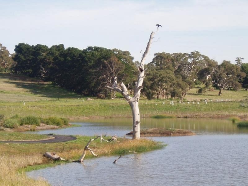 Various – Chippendale Park, Hayborough SA 5211