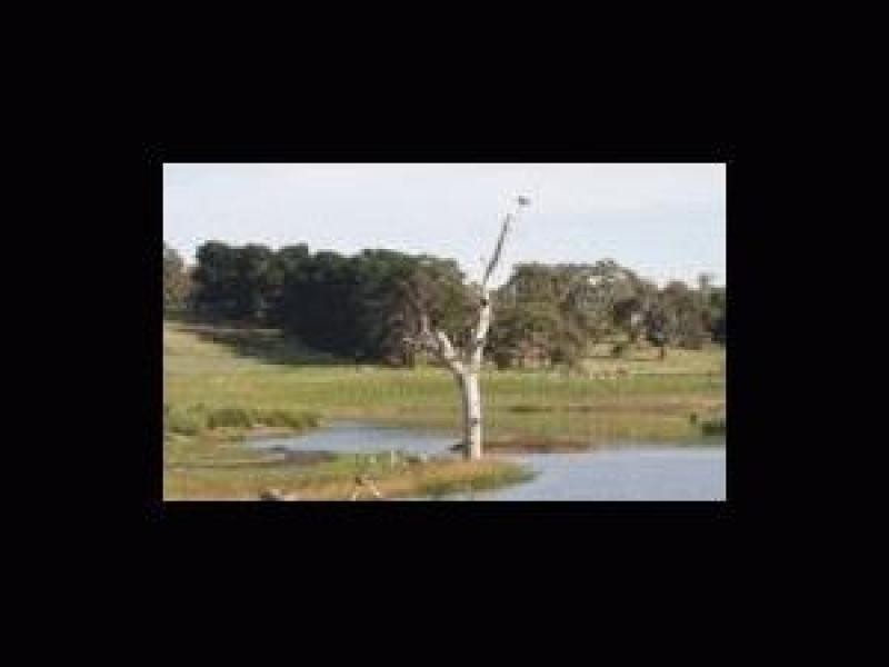 Various – Chippendale Park, Hayborough SA 5211