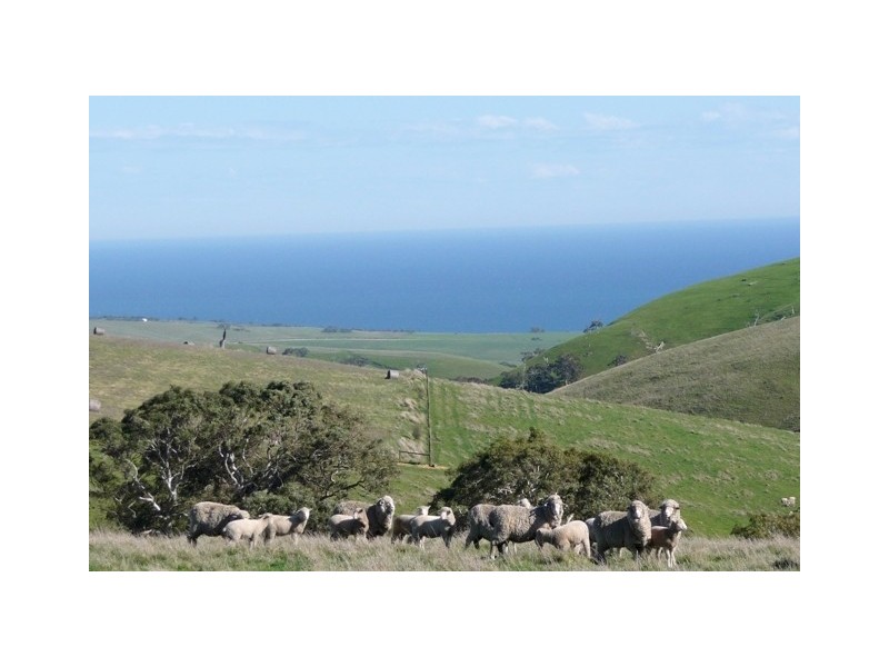 . Reservoir Rd, Myponga SA 5202