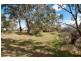 Lot 123 Johnston Road, Willyaroo SA 5255