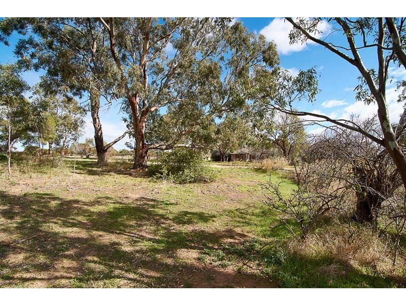 Lot 123 Johnston Road, Willyaroo SA 5255