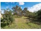 Lot 123 Johnston Road, Willyaroo SA 5255