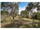Lot 123 Johnston Road, Willyaroo SA 5255