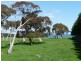 Lot 1/-3 Parsons Beach, Waitpinga SA 5211