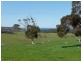 Lot 1/-3 Parsons Beach, Waitpinga SA 5211