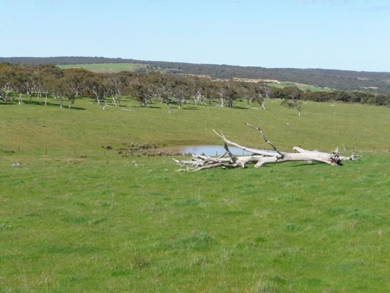 Lot 1/-3 Parsons Beach, Waitpinga SA 5211
