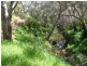 Lot 12 Coromandel Drive, Mccracken SA 5211