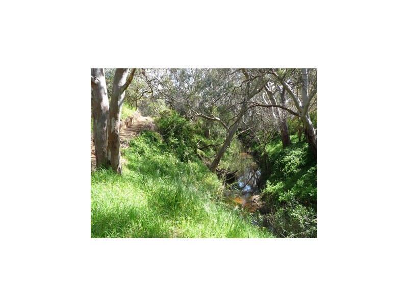 Lot 12 Coromandel Drive, Mccracken SA 5211