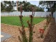 9 Dinan Road, Victor Harbor SA 5211