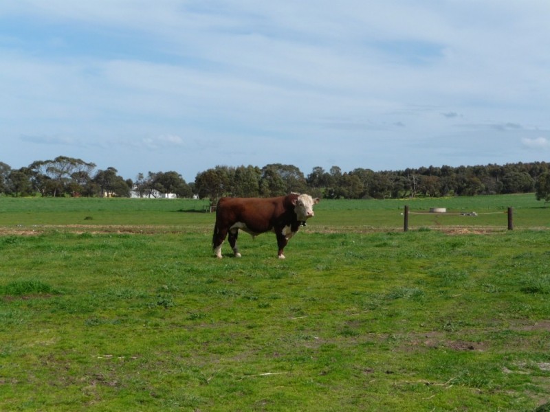 Kooroora Mount Compass-Goolwa Road, Currency Creek SA 5214