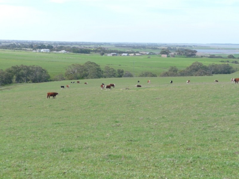 Kooroora Mount Compass-Goolwa Road, Currency Creek SA 5214