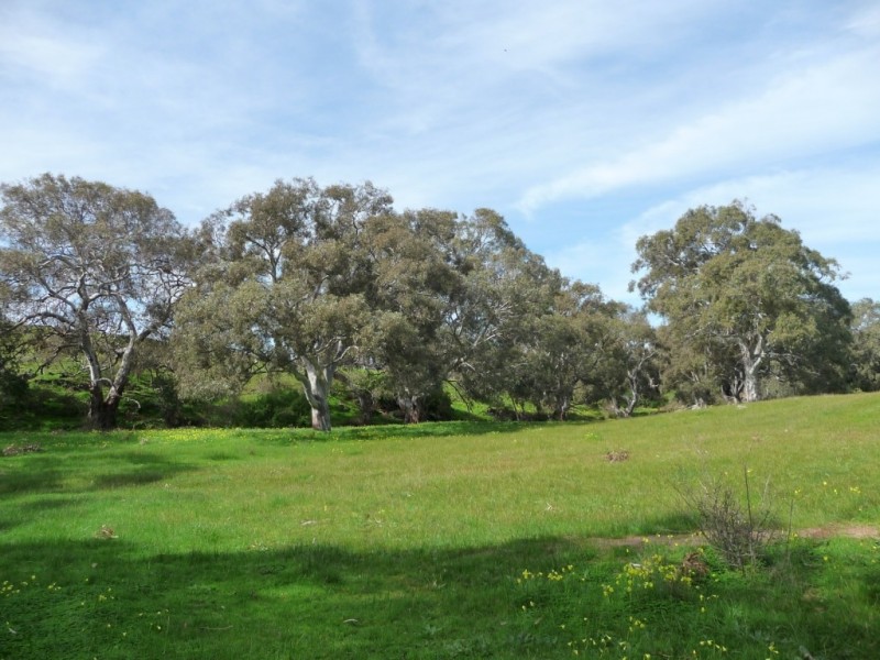 Kooroora Mount Compass-Goolwa Road, Currency Creek SA 5214