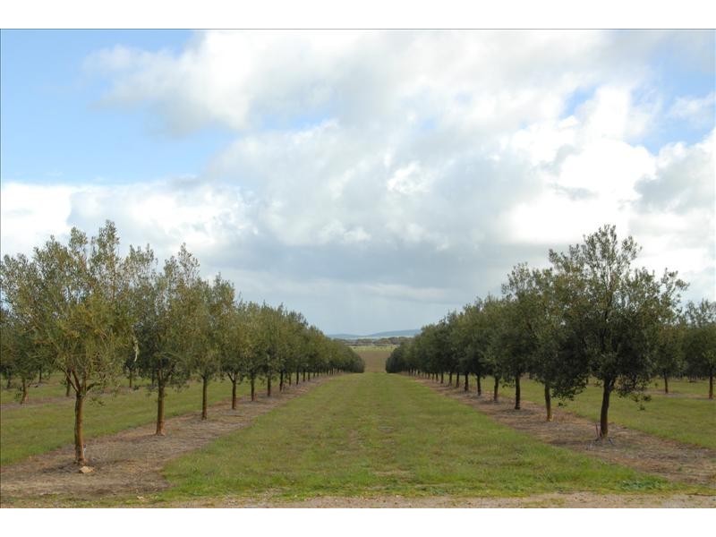 Lot 4 Finniss Park Road, Currency Creek SA 5214
