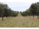 Lot 4 Finniss Park Road, Currency Creek SA 5214