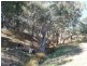 Lot 201 Main South Road, Second Valley SA 5204