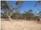 Lot 5 Fishery Beach Road, Cape Jervis SA 5204