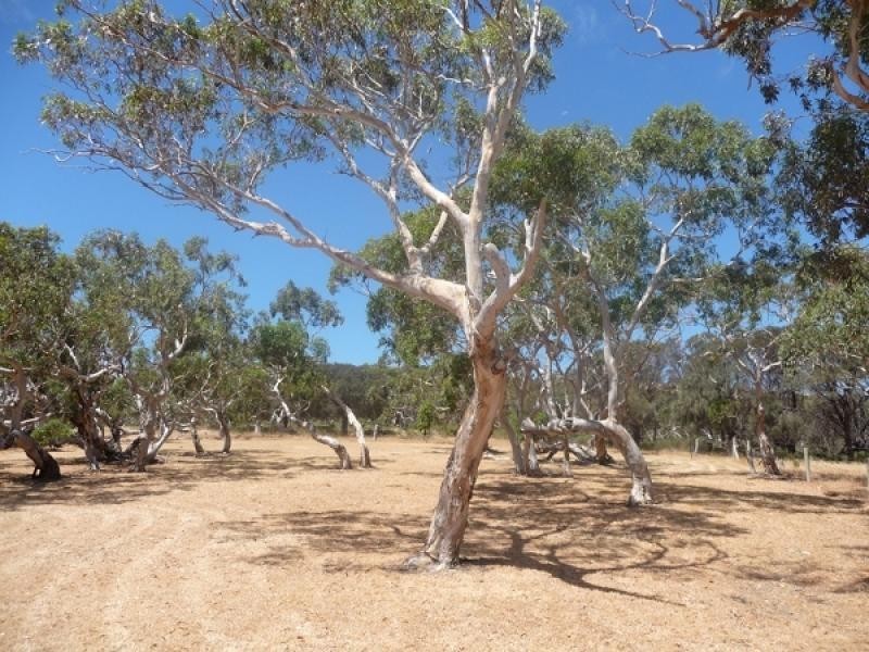 Lot 5 Fishery Beach Road, Cape Jervis SA 5204