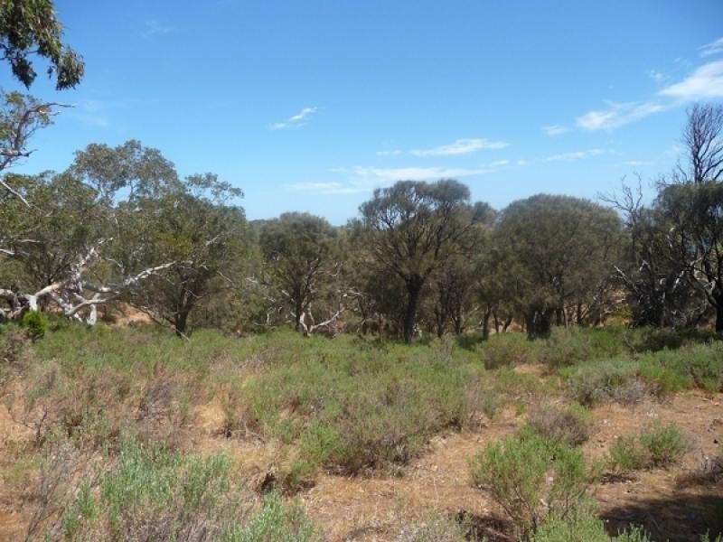 Lot 5 Fishery Beach Road, Cape Jervis SA 5204