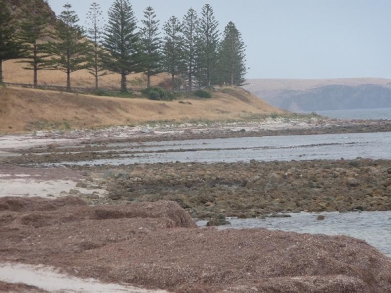 ‘Lady Bay’ Normanville, Normanville SA 5204