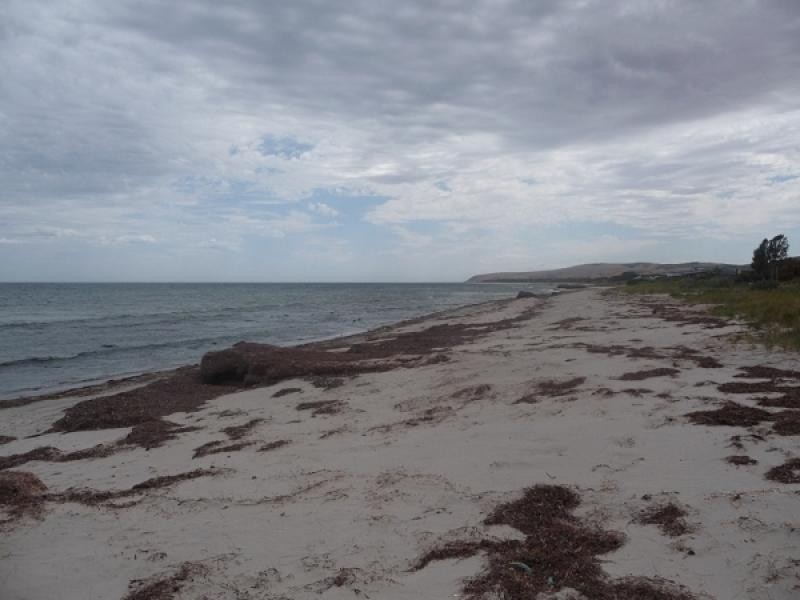 ‘Lady Bay’ Normanville, Normanville SA 5204
