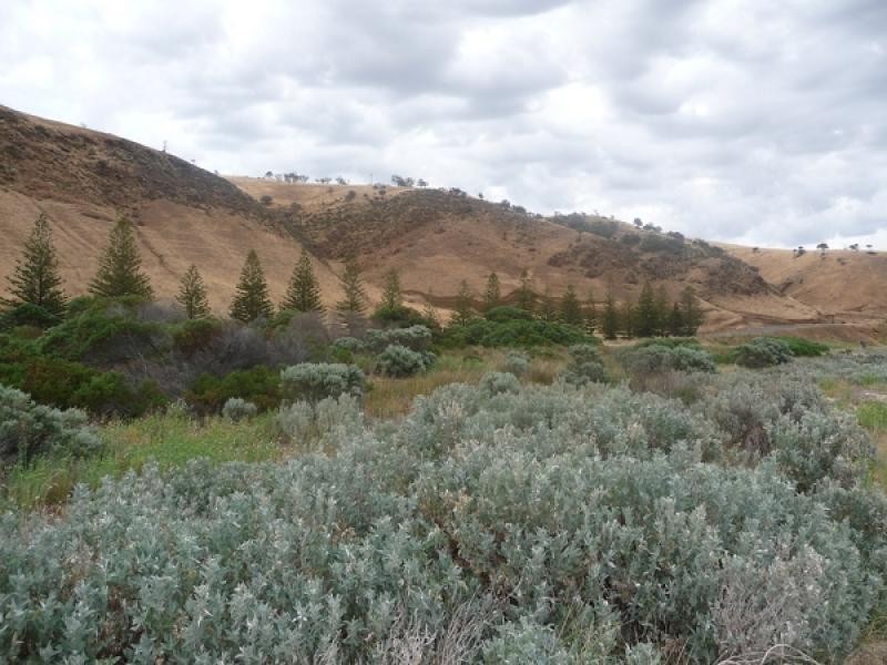 ‘Lady Bay’ Normanville, Normanville SA 5204