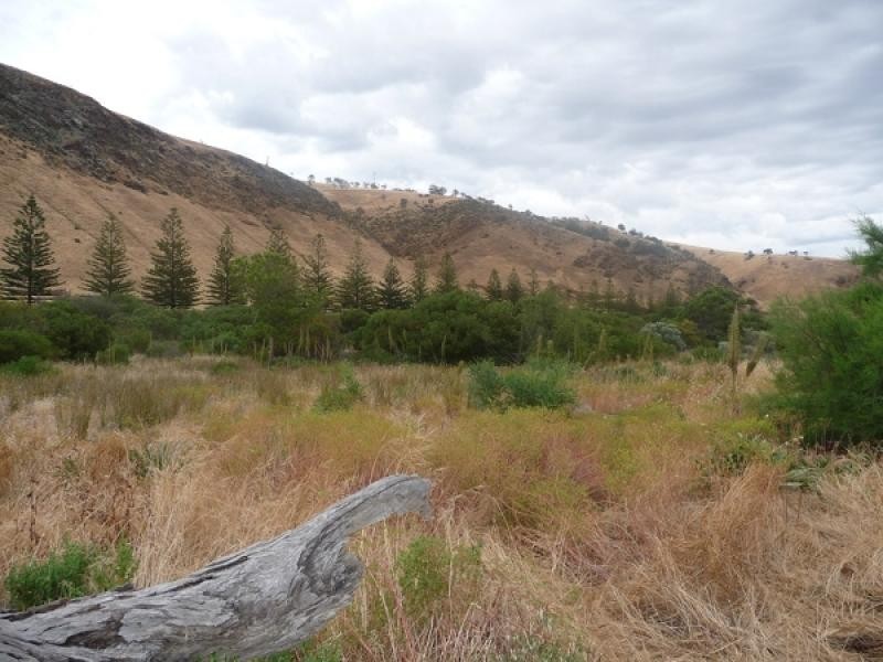 ‘Lady Bay’ Normanville, Normanville SA 5204