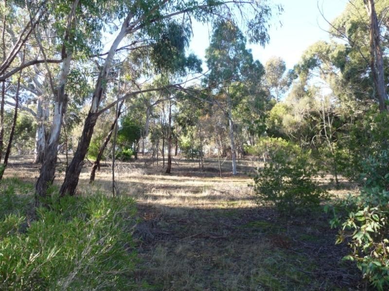 Lot 1 Portion of Section 621 Polwarth Drive, Inman Valley SA 5211