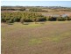 Lot 31 Sun Orchid Drive, Hayborough SA 5211