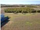Lot 31 Sun Orchid Drive, Hayborough SA 5211