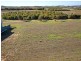 Lot 31 Sun Orchid Drive, Hayborough SA 5211